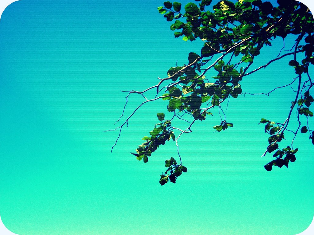 [Blue+Skies.jpg]