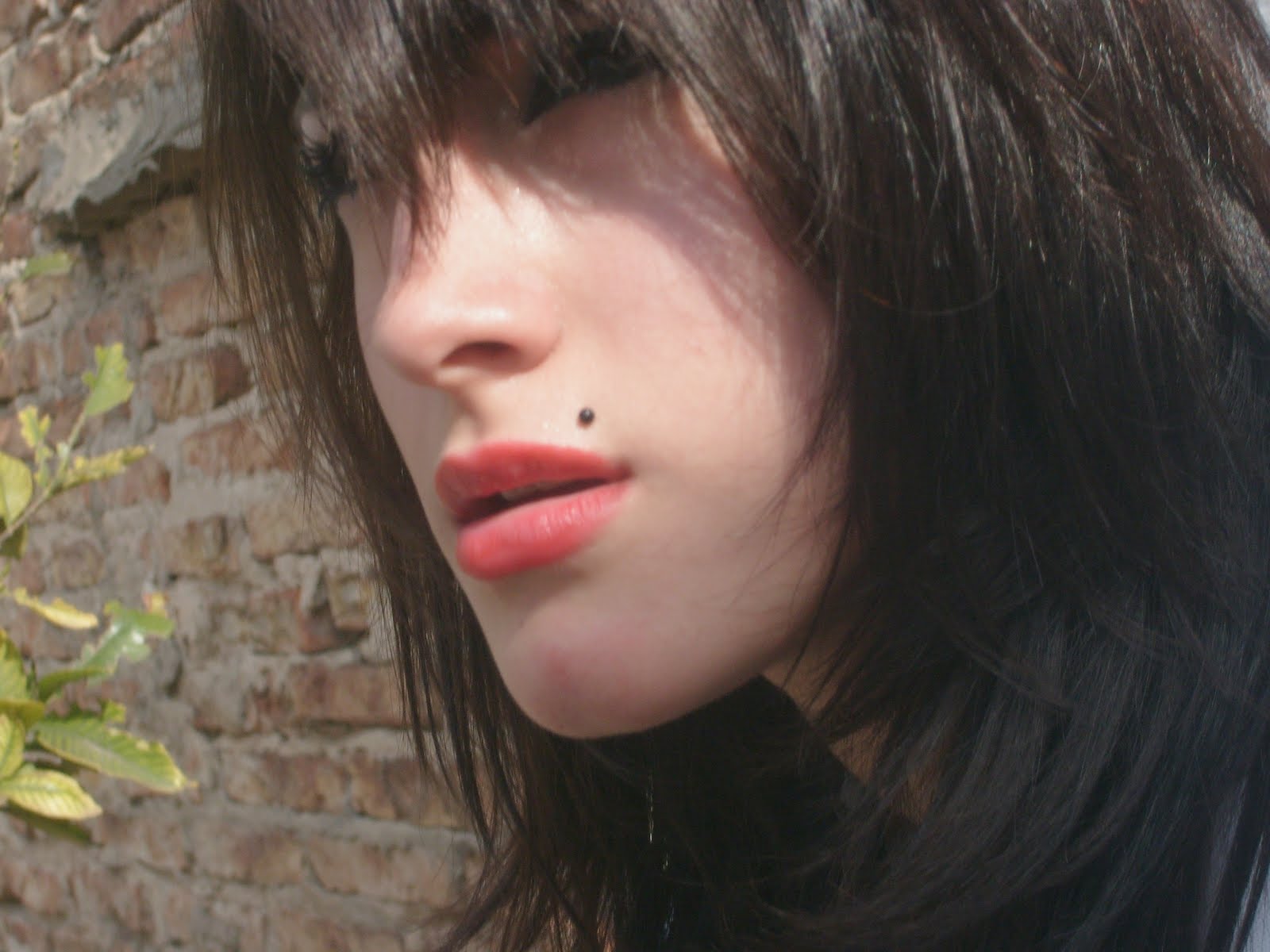 [S7303094.JPG]