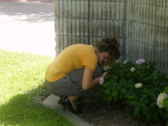Smelling the flowers :)