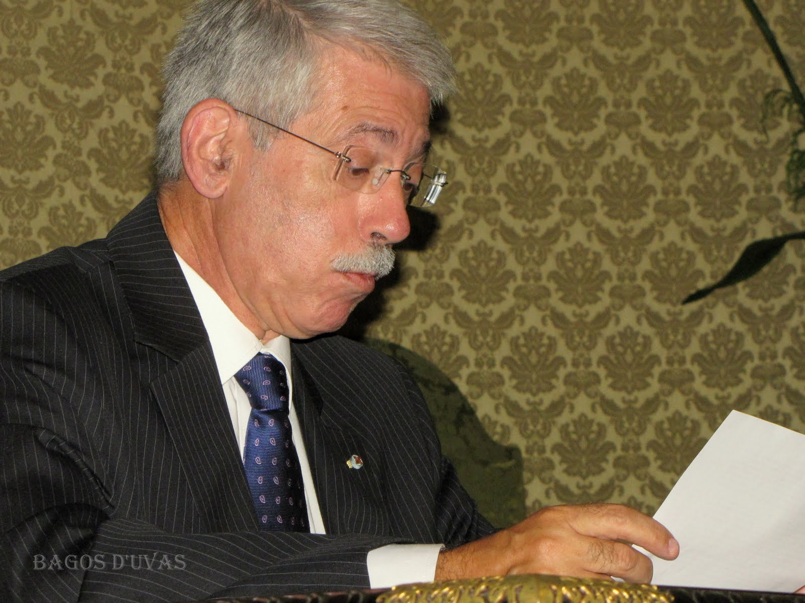 [HERÁLDICA_FORMAS_E_CORES+(15).JPG]