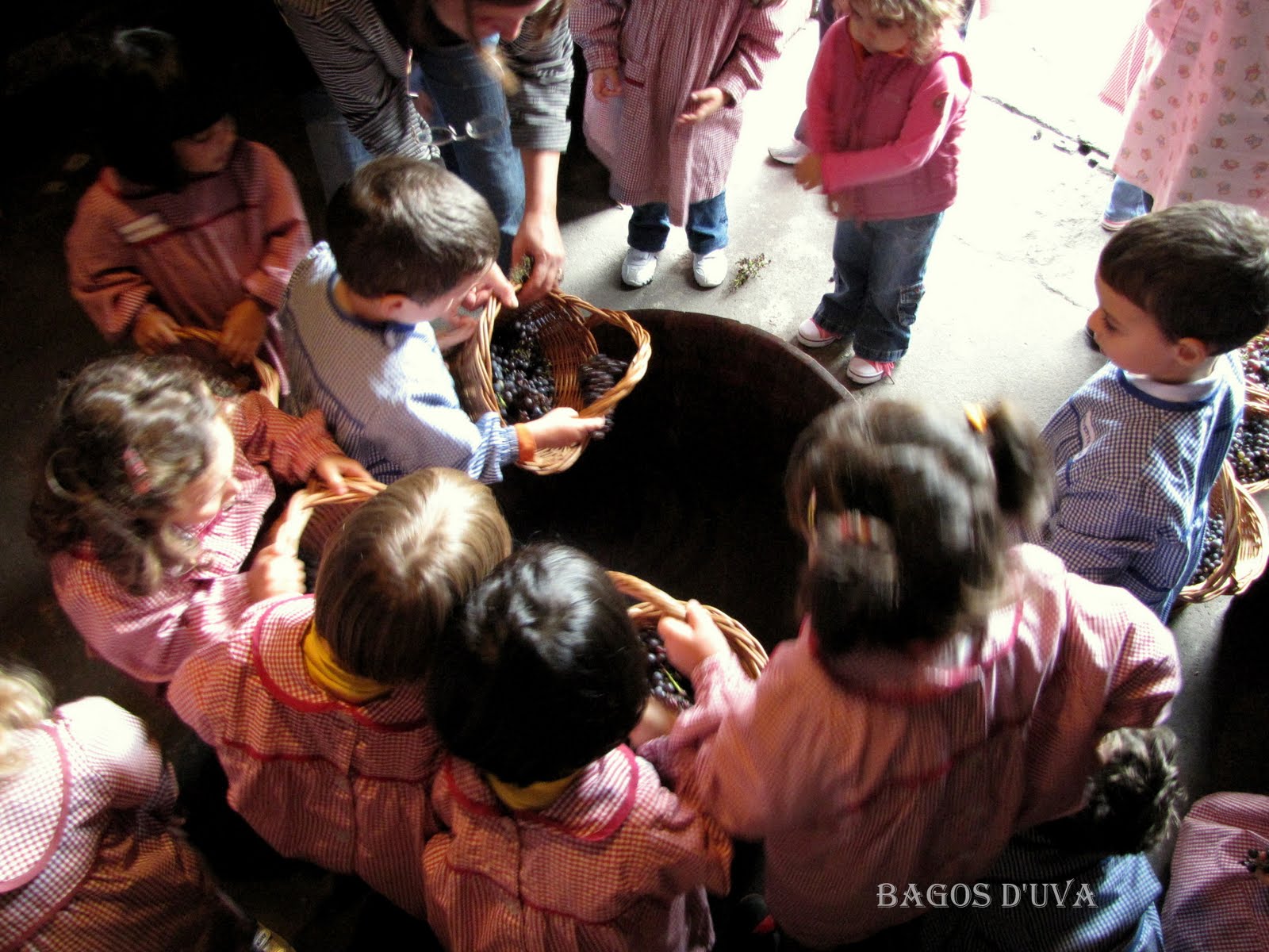 [divertilaxia+(5).JPG]