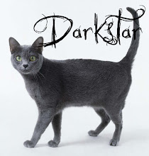 Darkstar of DuskClan(Later DarkClan)