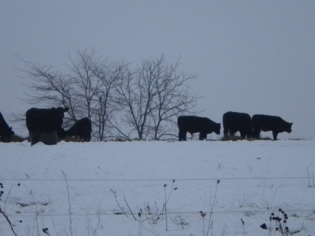 [12-15-2009+157.JPG]