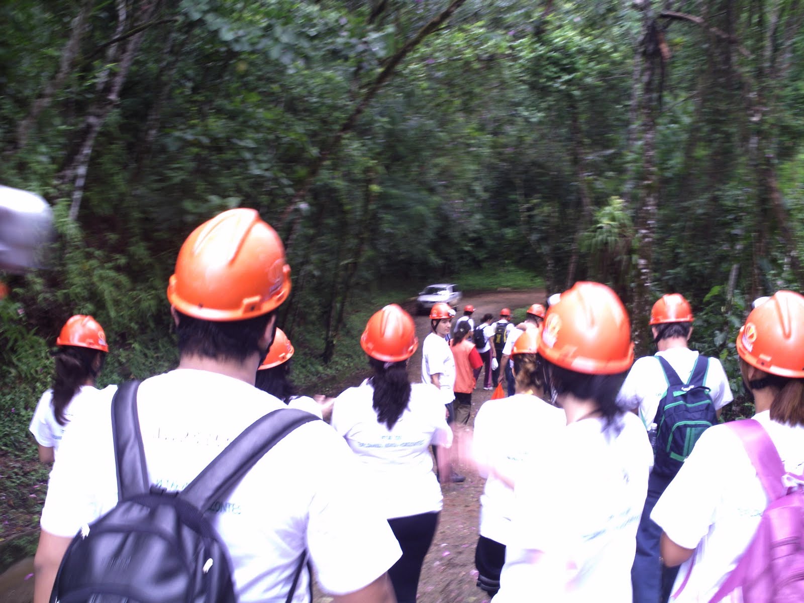 [PICT0074.JPG]