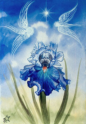 fairy iris