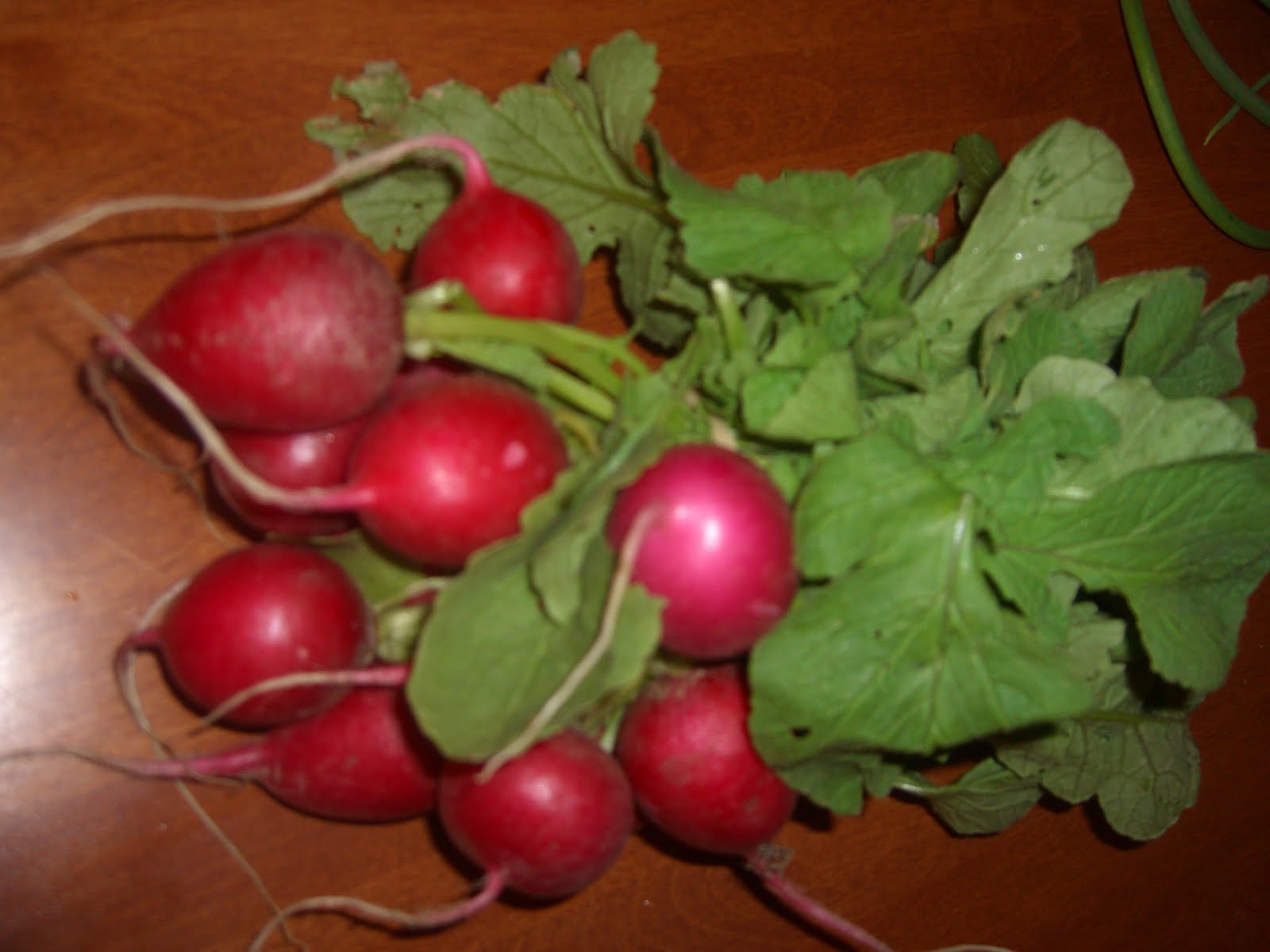 Cibo e Famiglia (Food and Family) Hakurei Turnips and Radishes