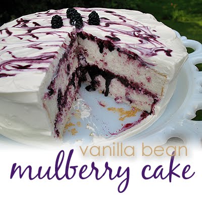 Mulberry Cake Recipe Mulberry Cake Recipe