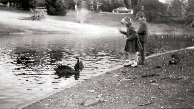 Feeding the Ducks at Cave Hill Cemetery