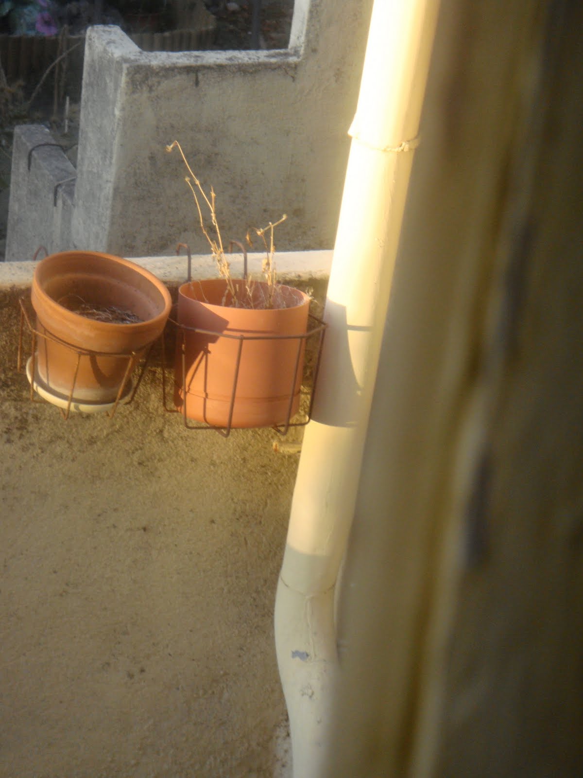 vies métalliques rencontres avec pierre bergounioux