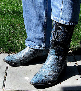 blue snakeskin cowboy boots