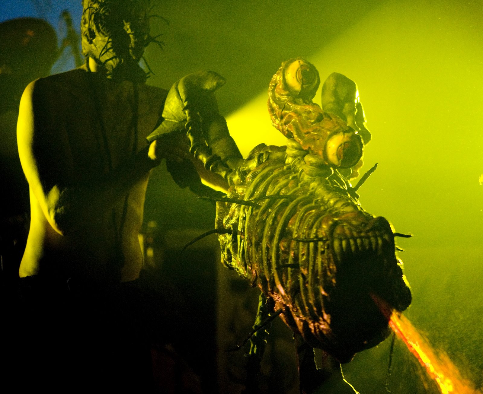 [B.HicksGwarGN3X3371.jpg]