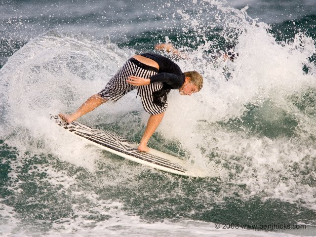 [Palmetto+Nov+12,+08-3.jpeg]