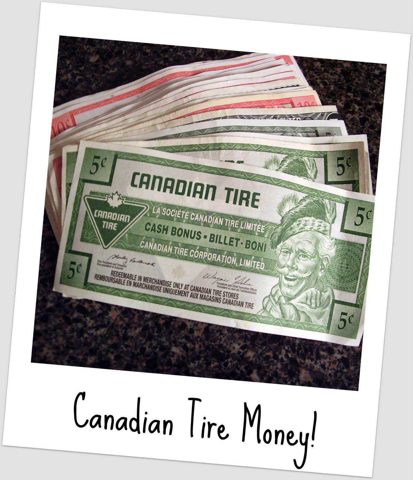 Nesty A Fun Bit of Canadiana!