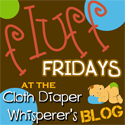 Kelly's Closet's Blog- My go-to Cloth Diaper Store!