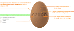 Información sobre los huevos que comemos
