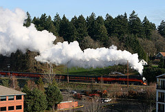 SP 4449 steams into the valley...