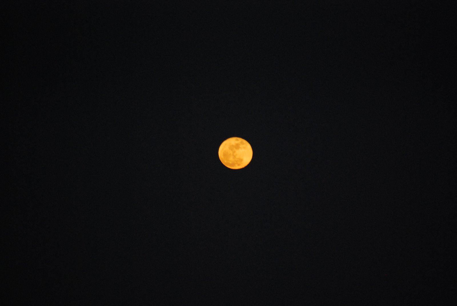 [DSC_0032.JPG]