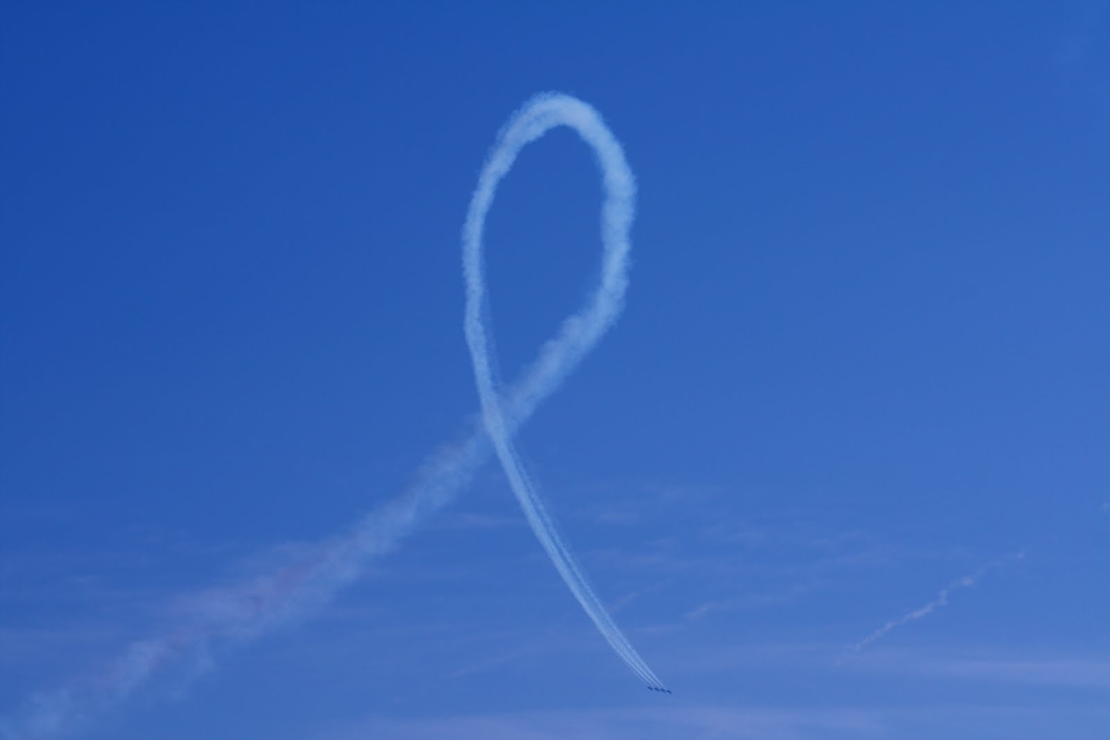 [IMG_8486_2.JPG]