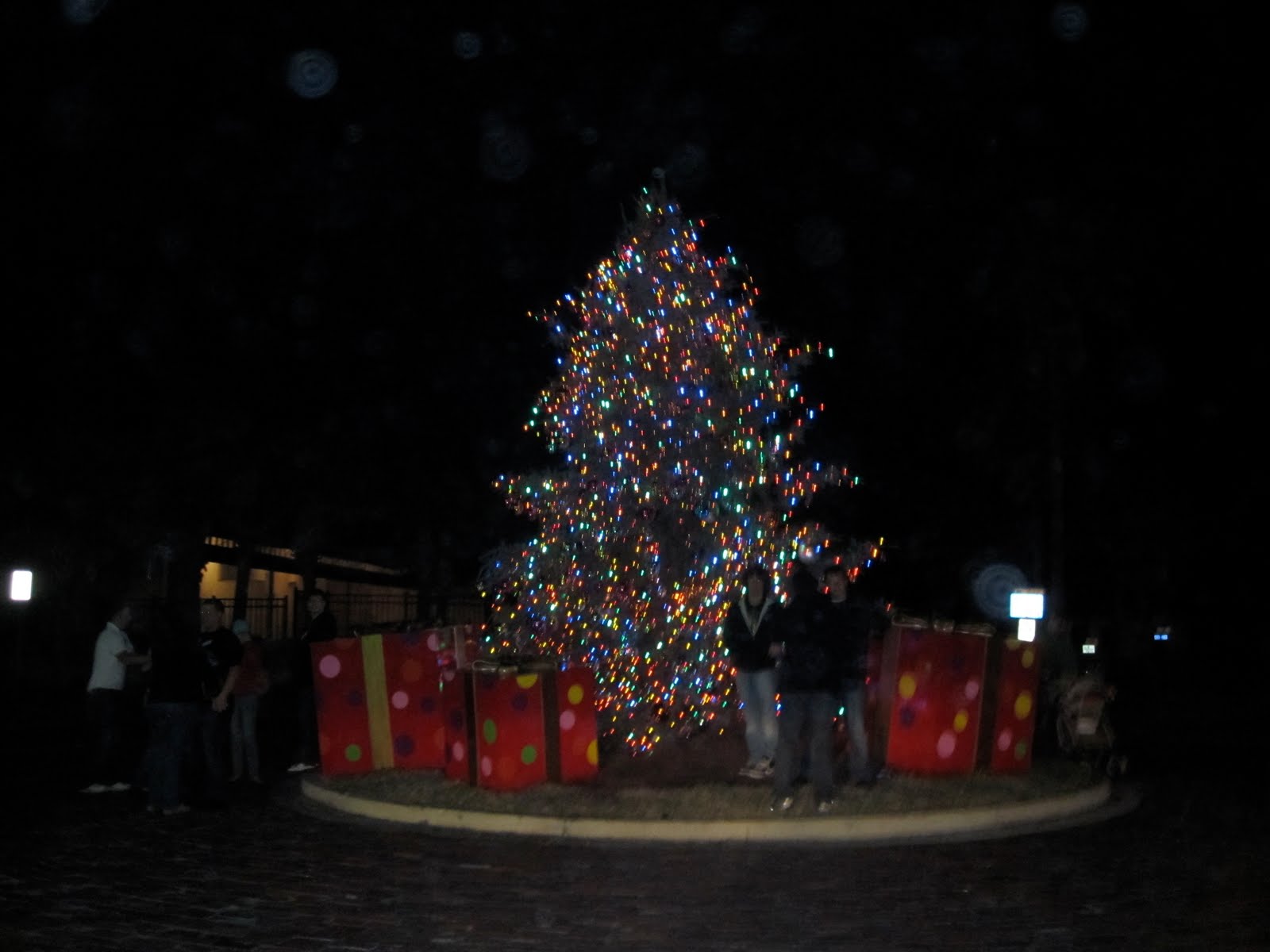 [IMG_8062.JPG]