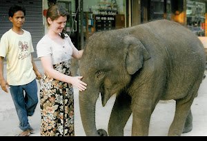 Baby Elephant in the Market