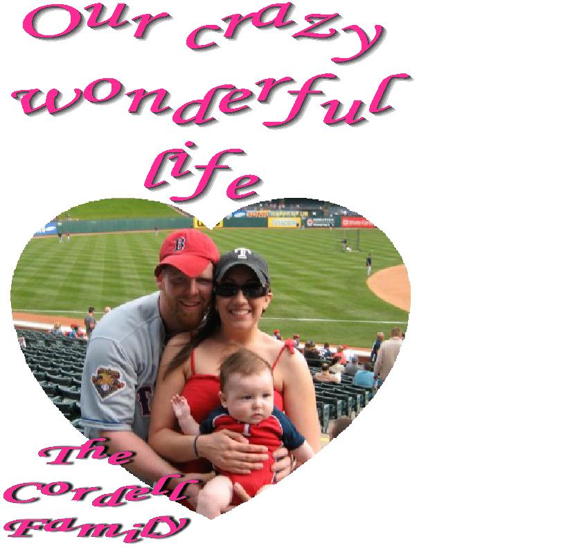 Our crazy wonderful life