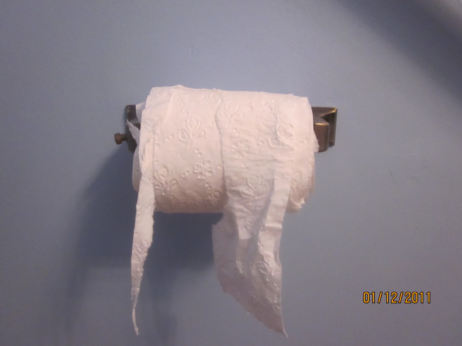 Our Suburban Circus Toilet paper rolls and Excessive flushing