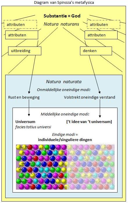 [Diagram_Metafysica_Spinoza.jpg]
