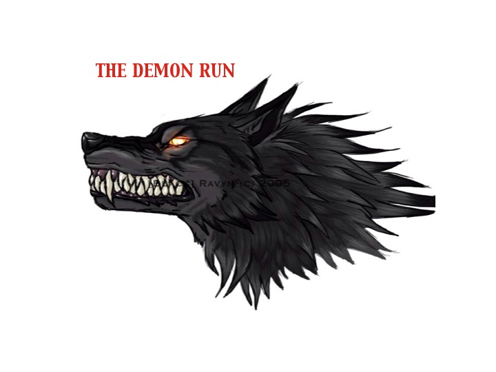 The Demon Run