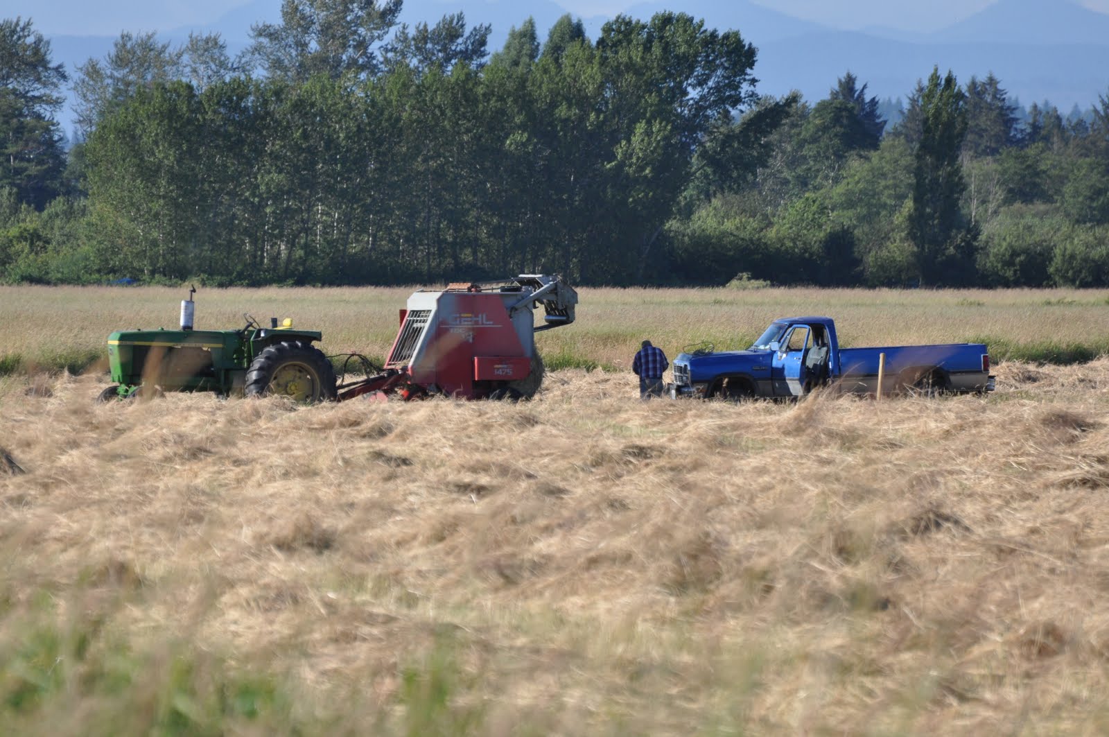 meat How hay bales are made