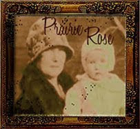 Prairie Rose- button