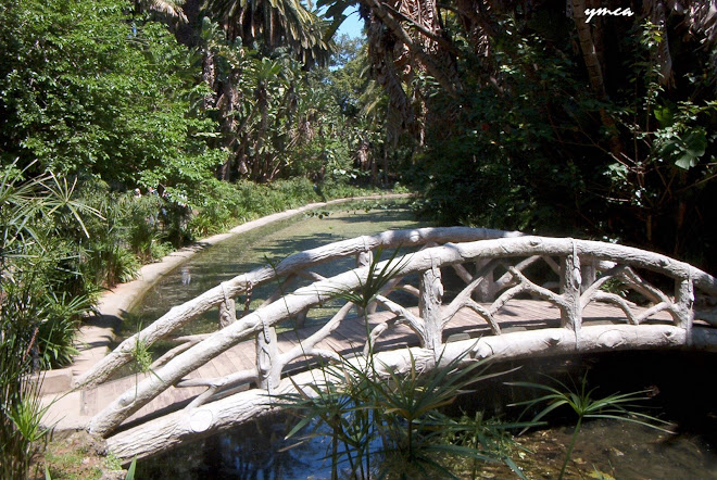 من بين اجمل حدائق العالم حديقة الجزائر Pont+au+jardin+d%27essai