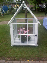 Window Greenhouse