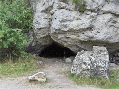 Scavenger den