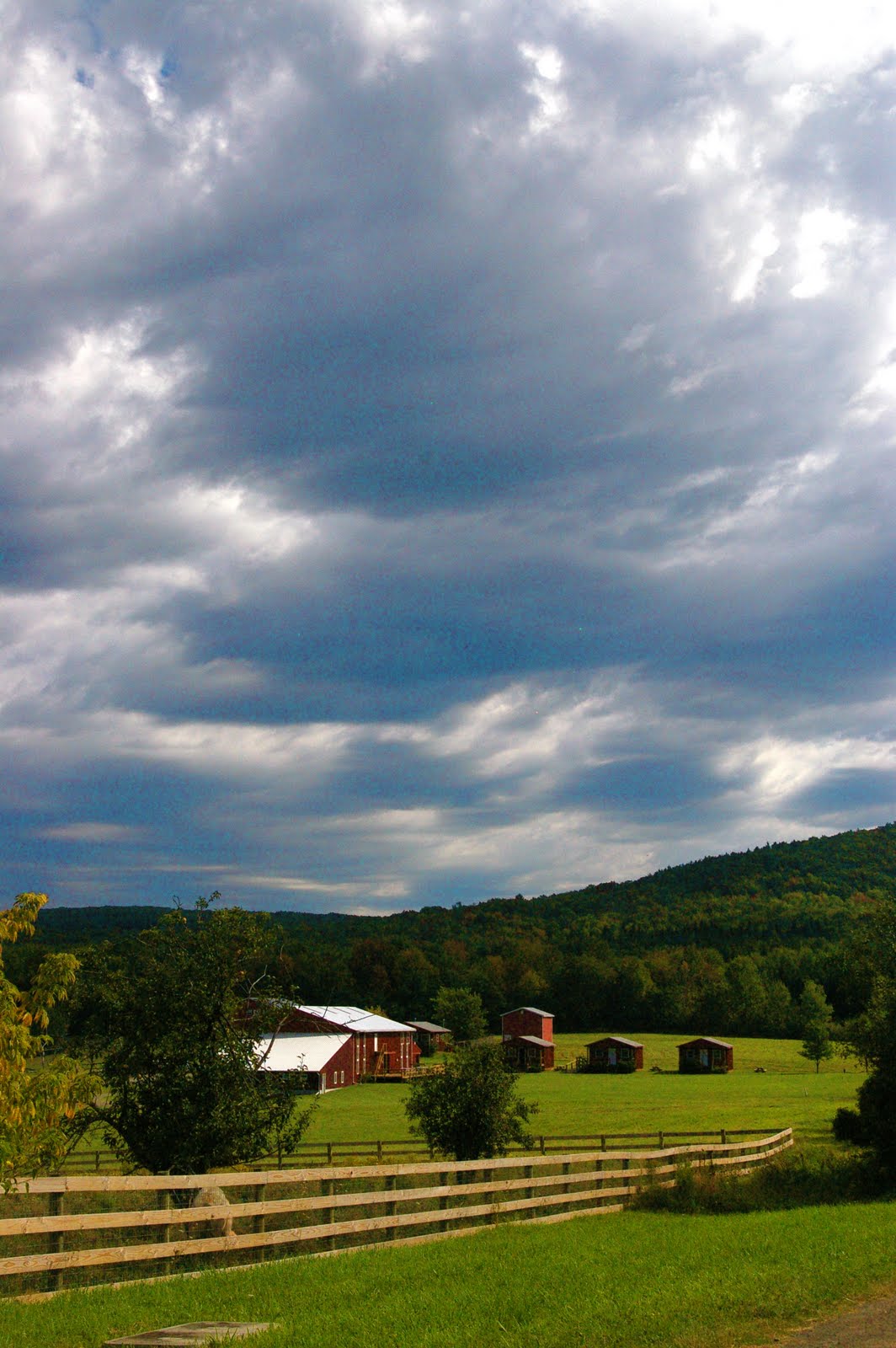 A Gift from Spotsylvania A Beautiful Farm