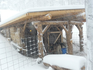 barn in blizzard