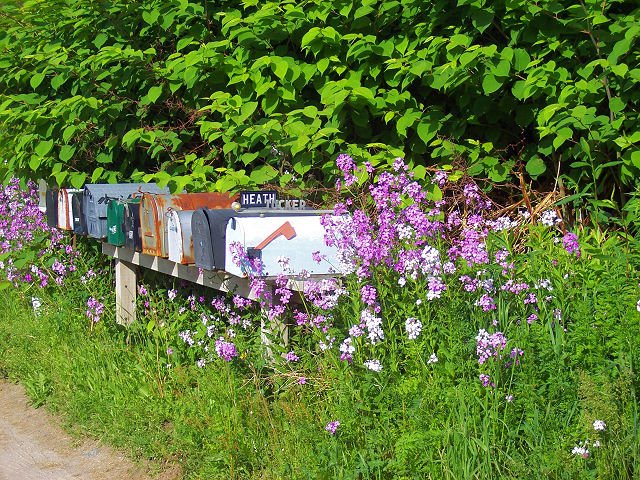 [Mailboxes.jpg]