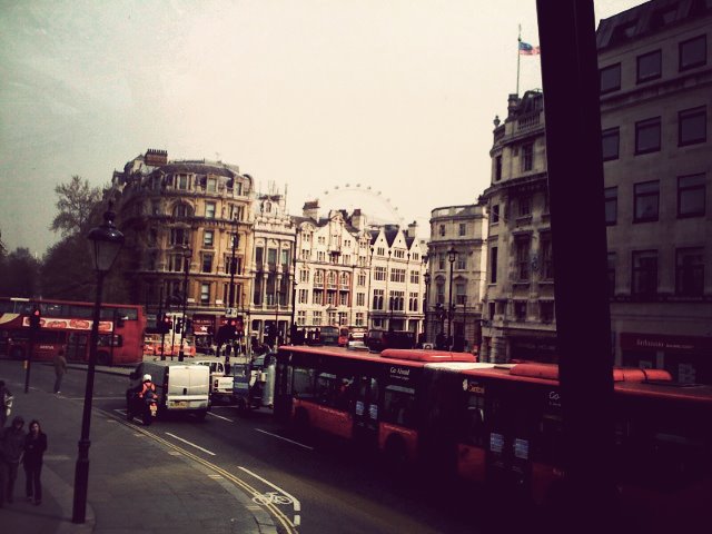 [Buses.jpg]