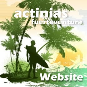 Web de Actinias de Fuerteventura