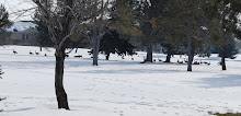 OUR BACKYARD WILDLIFE PRESERVE