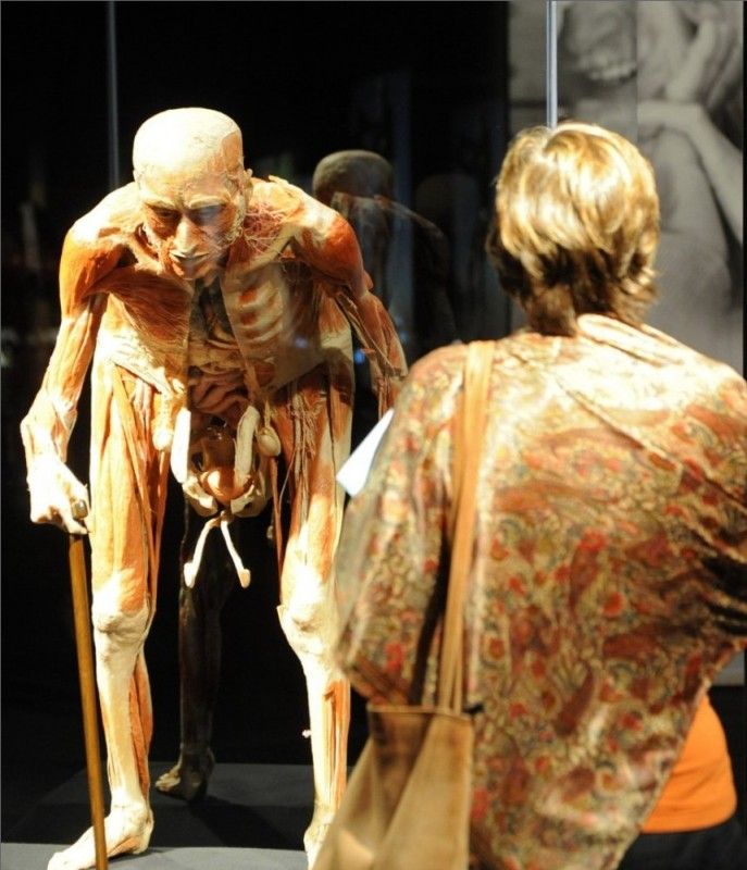 Body World Show