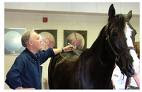 Horse Acupuncture