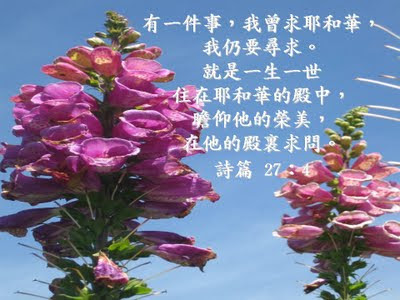 安得烈福音小站: 耶和華是我的牧者 (四)
