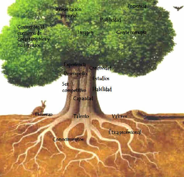 ÁRBOL SOCIAL