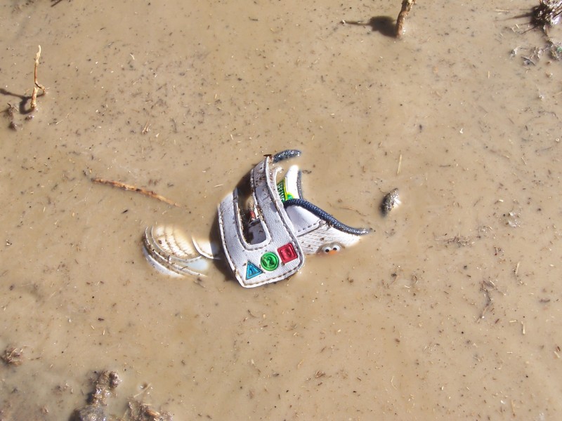 [mud+4.jpeg]