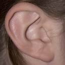 [ear.jpe]