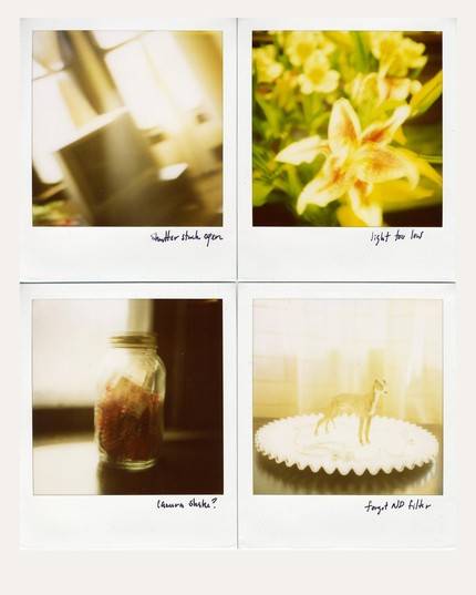 wizard101 crown generator v3 free download