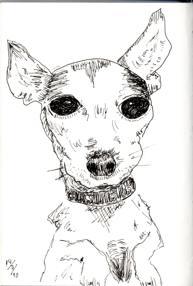 el último perrejo de los dibujos de Danny Gregory.