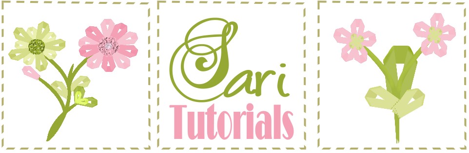 sari tutorials