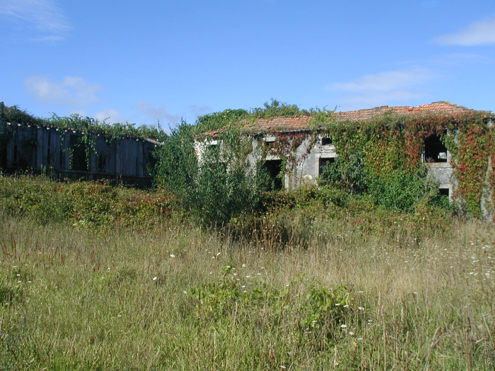[P8180036.JPG]