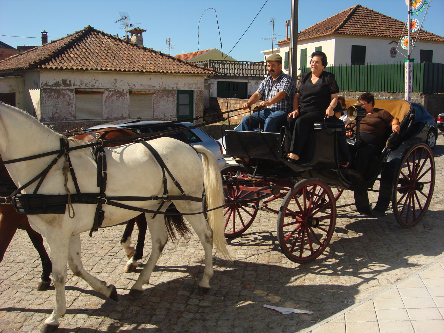 [CDiaAMOROSA+(1).jpg]